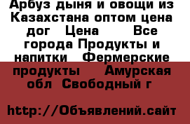 Арбуз,дыня и овощи из Казахстана оптом цена дог › Цена ­ 1 - Все города Продукты и напитки » Фермерские продукты   . Амурская обл.,Свободный г.